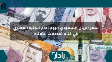 سعر الريال السعودي اليوم أمام الجنيه المصري في ختام تعاملات الثلاثاء
